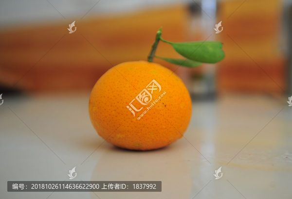 雜柑愛(ài)媛38