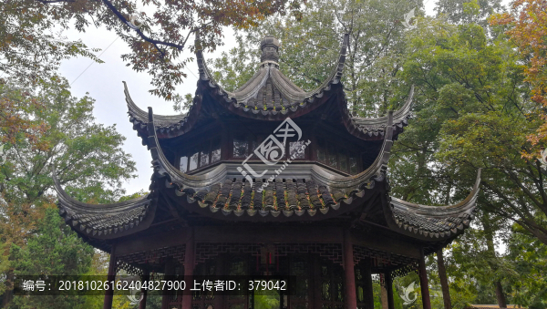 拙政園