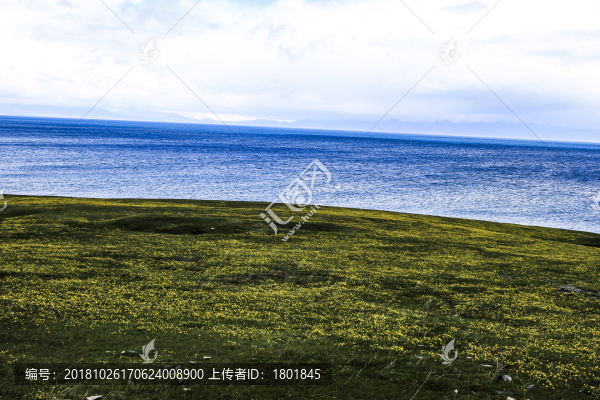 賽里木湖