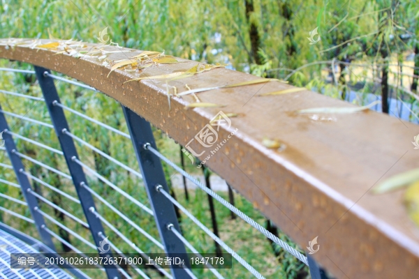 秋雨落葉圍欄