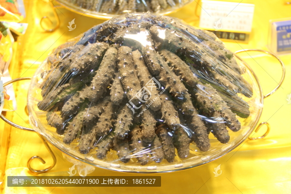海參
