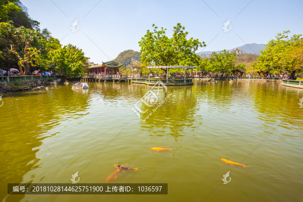 肇慶七星巖觀魚池