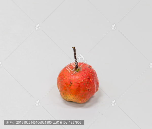 山楂