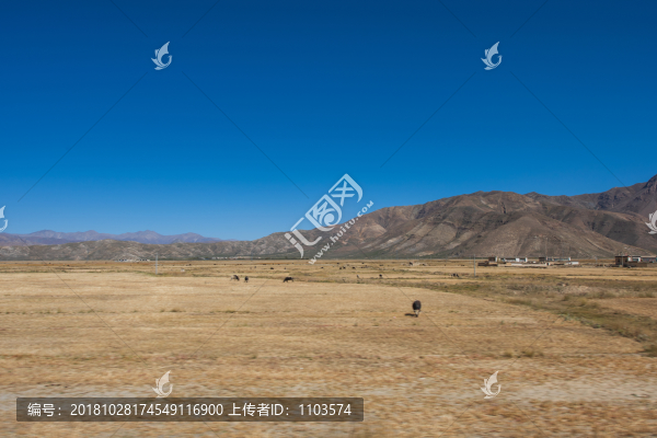 西藏的公路和荒原017