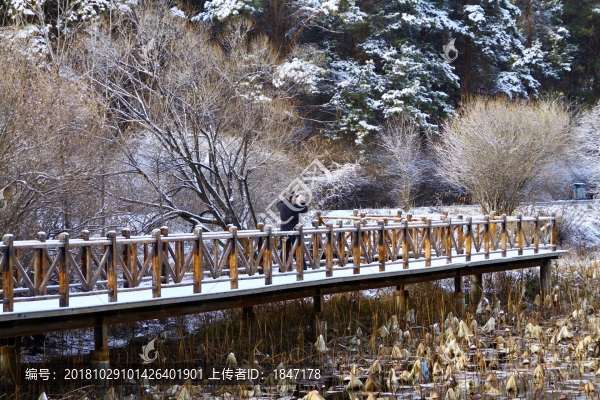 雪景