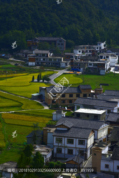 金秋高原梯田風(fēng)電場(chǎng)
