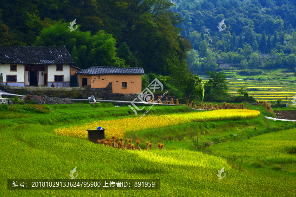 金秋高原梯田風(fēng)電場