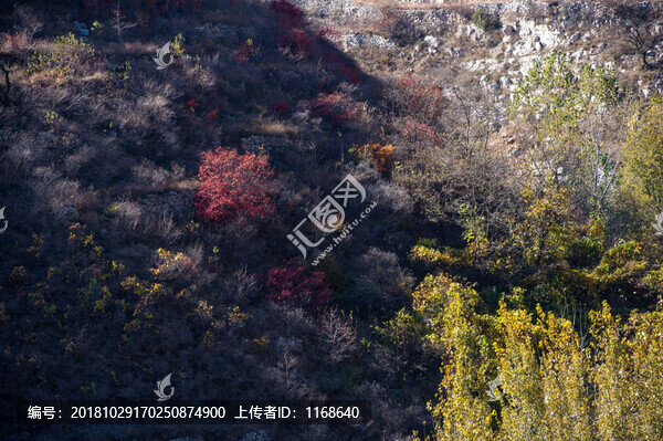 山鄉(xiāng)秋景