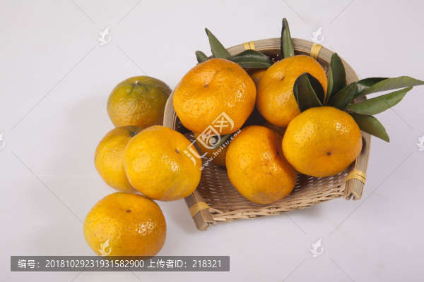 南豐蜜桔