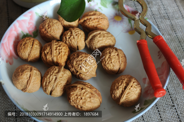 核桃