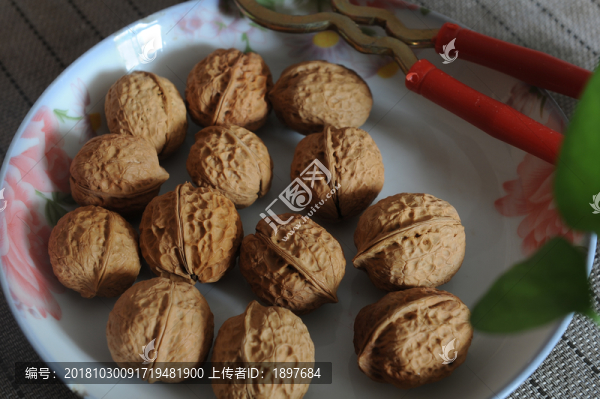 核桃