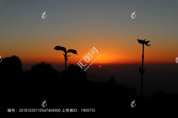 黃山日出