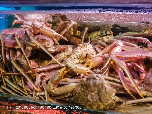 長(zhǎng)腳蟹