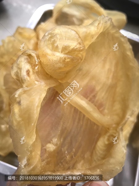 開片黃花膠