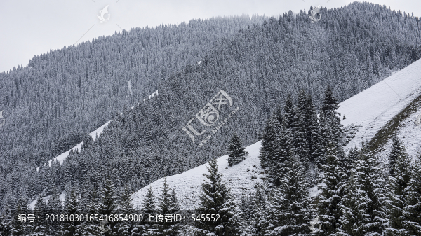 南山