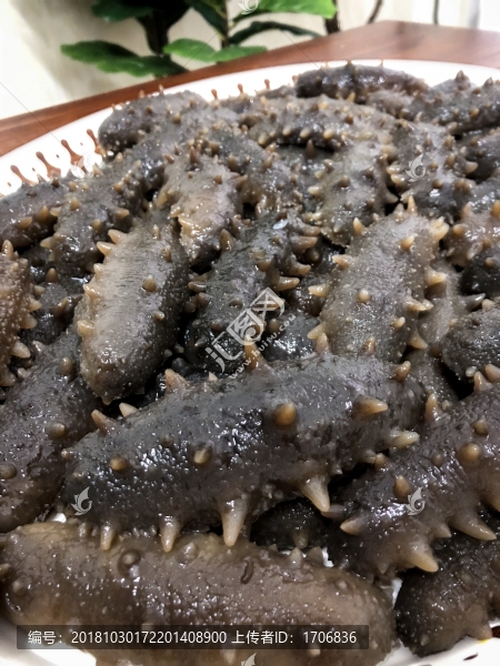 海參