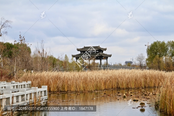 北湖公園