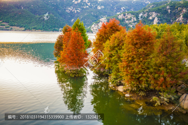 錦繡嶗山