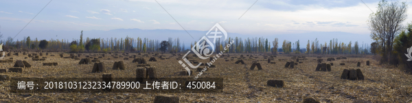 秋天的田野