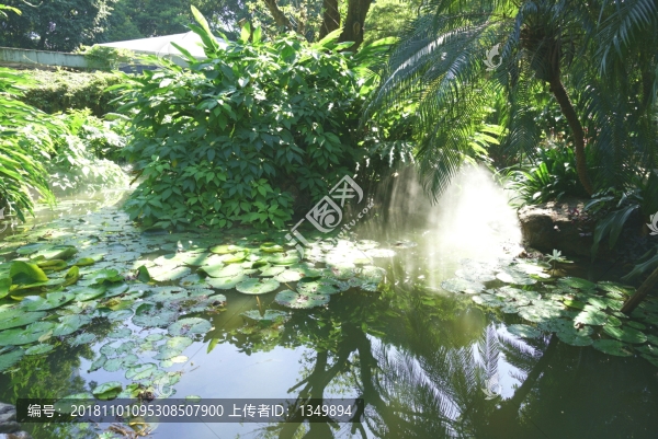 小區(qū)綠化