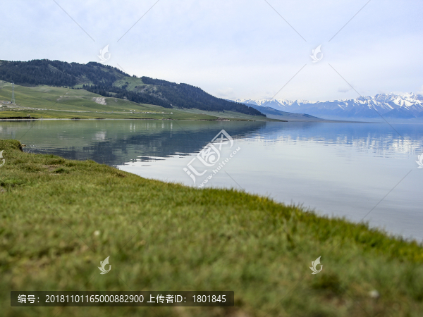 賽里木湖