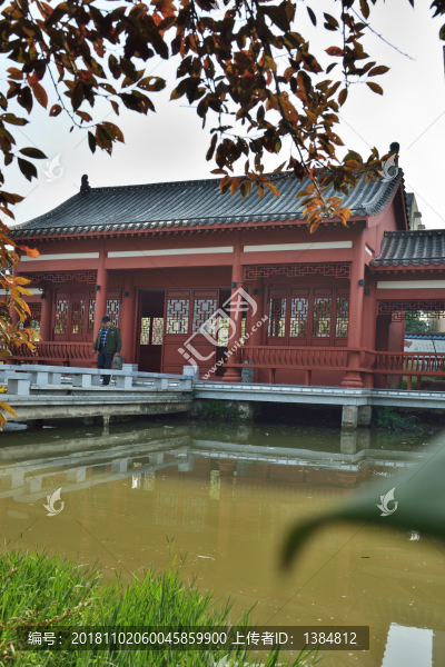 公園豎幅照片