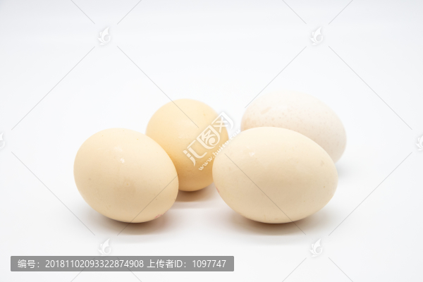 雞蛋