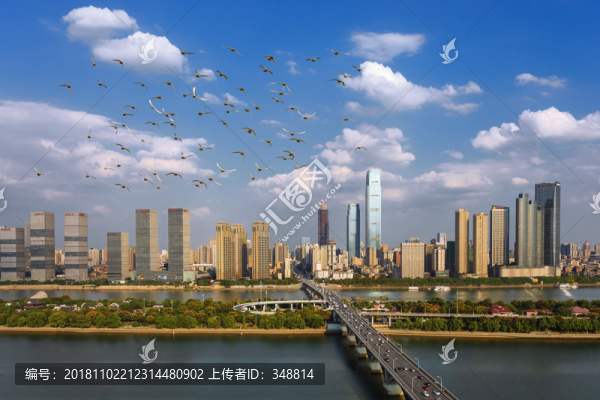 橘子洲大橋