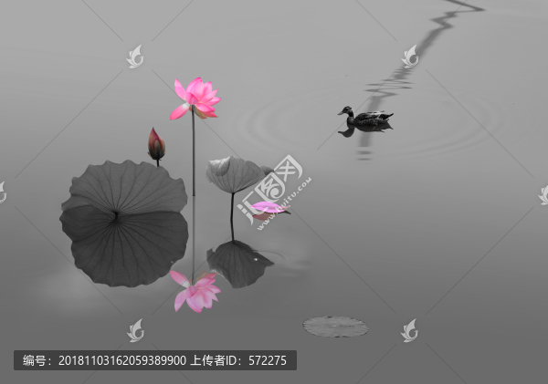 鴨子荷花裝飾畫