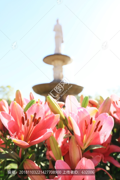武漢花博匯