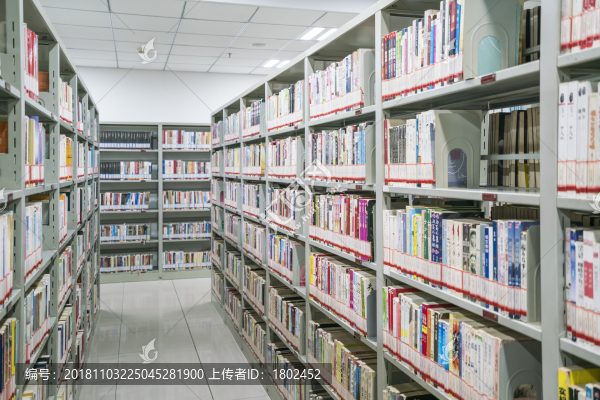 圖書館書架圖書