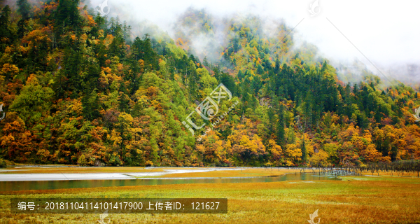 巴旺海