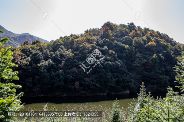 綠水青山