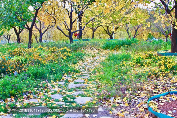 石頭小路