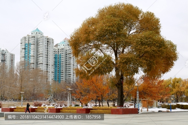 城市秋景