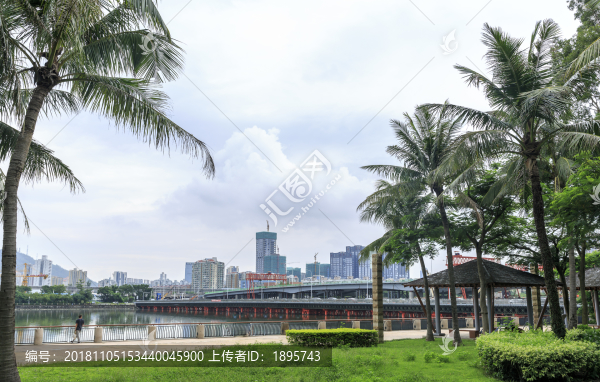 濱海城市風(fēng)光