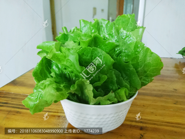 生菜
