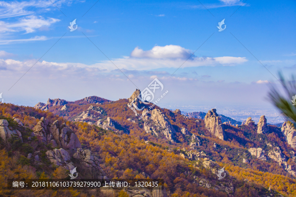 遠山的呼喚