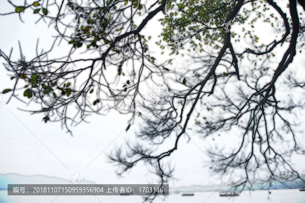 水墨西湖