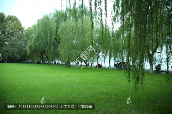 綠色草坪
