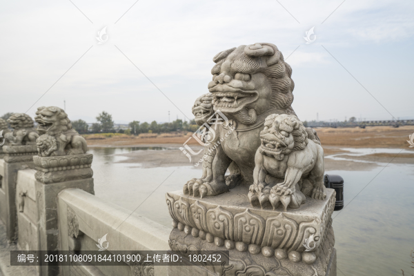 盧溝橋石獅子