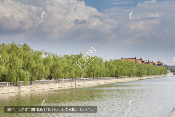 夏天的護(hù)城河