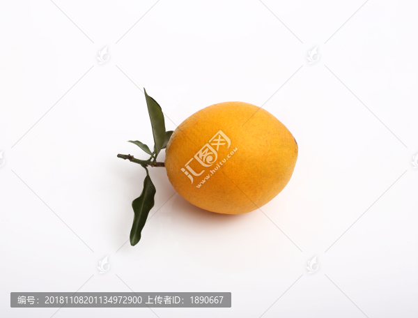 贛南臍橙