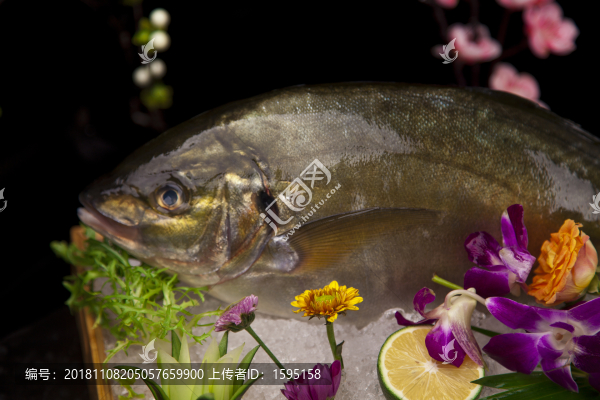 池魚王