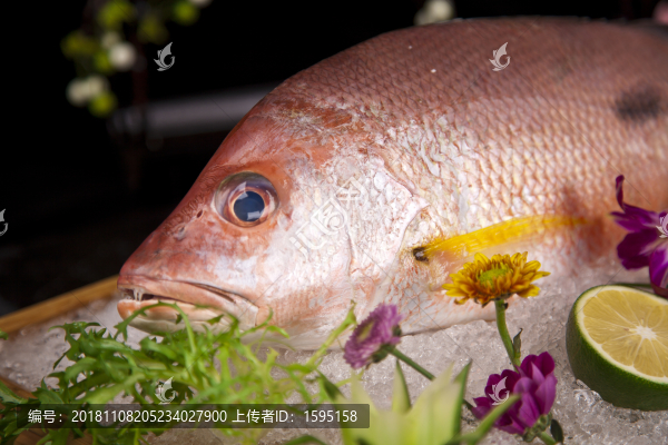 魚刺身