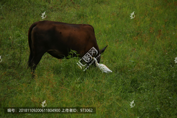 靜美和諧