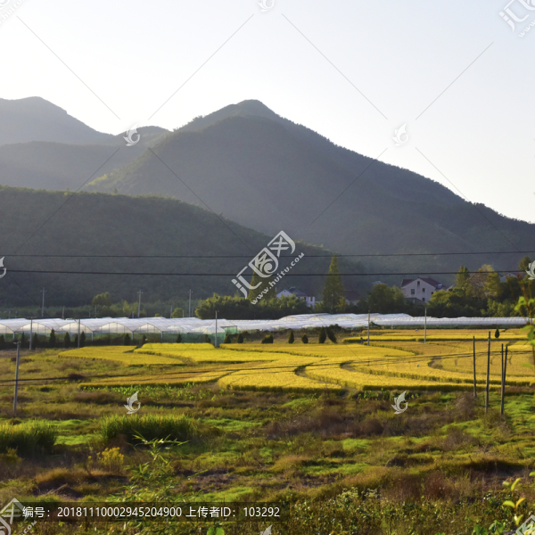鄉(xiāng)間田野