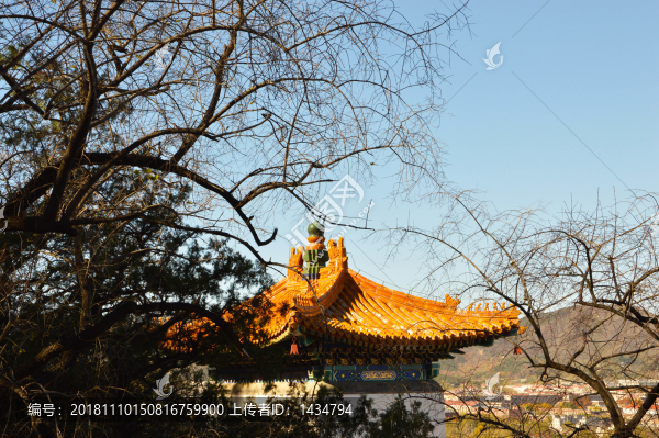 頤和園