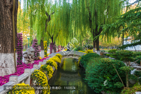 濟(jì)南趵突泉菊展034