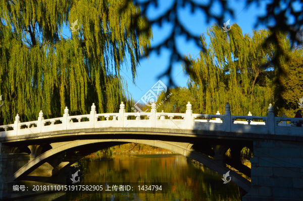 橋